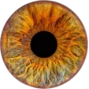 🤩 Эмодзи «Глаза #style #other» для Telegram