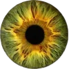 🤩 Эмодзи «Глаза #style #other» для Telegram