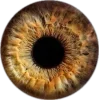 🤩 Эмодзи «Глаза #style #other» для Telegram