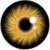 👁 Эмодзи «Глаза #style #other» для Telegram