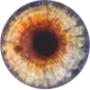 🤩 Эмодзи «Глаза #style #other» для Telegram