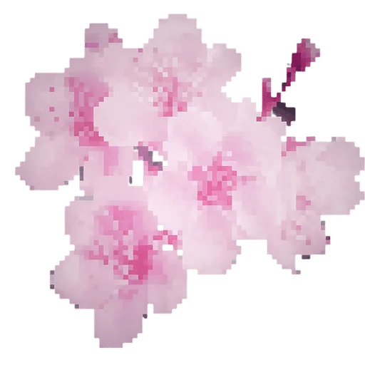 🌸 Стикер «◟︧ᥴ ─‌‌⃖» для Telegram