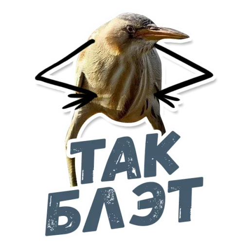 ТАК БЛЭТ