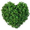 ❤️ Эмодзи «Green Emotions» для Telegram