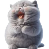 🤣 Эмодзи «Котенок TaoTao» для Telegram