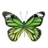 🦋 Эмодзи «green witch» для Telegram