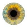👁 Эмодзи «green witch» для Telegram