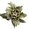 🌟 Эмодзи «green witch» для Telegram