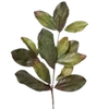 ☘️ Эмодзи «green witch» для Telegram