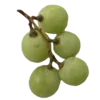 🍇 Эмодзи «green witch» для Telegram