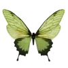 🌟 Эмодзи «green witch» для Telegram