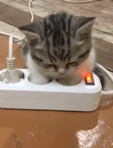 😗 Стикер «nya nya» для Telegram