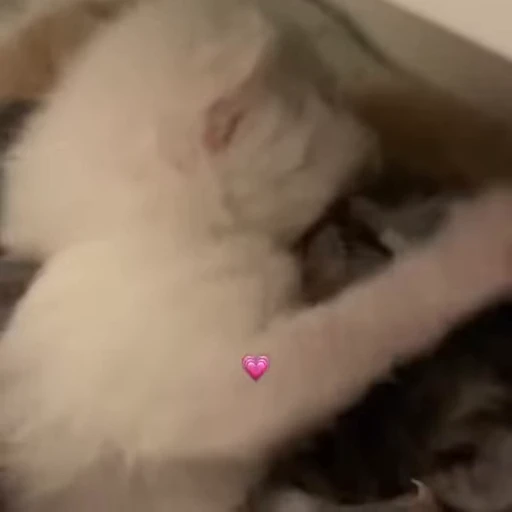 💋 Стикер «nya nya» для Telegram