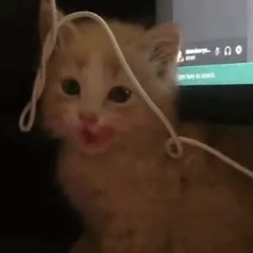 ☹️ Стикер «nya nya» для Telegram