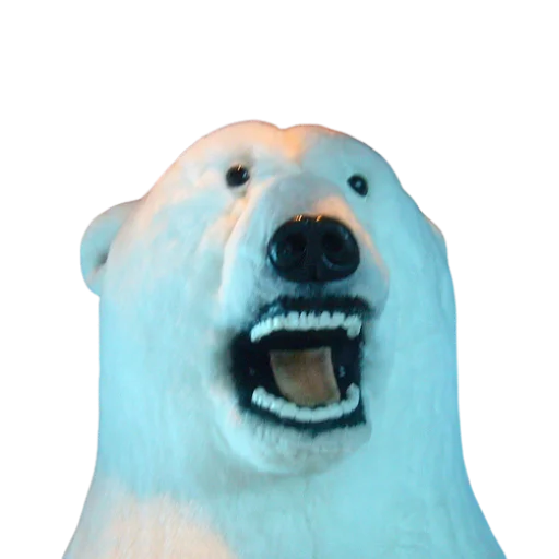 😫 Стикер «Taxidermy» для Telegram