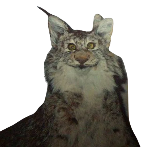 🙂 Стикер «Taxidermy» для Telegram