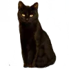 🐈‍⬛️ Эмодзи «Taylor Swift» для Telegram