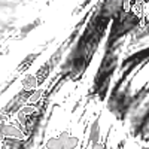 🗝 Эмодзи «ᴛᴇᴀʀs ᴏꜰ ᴅʀᴇᴀᴍs» для Telegram