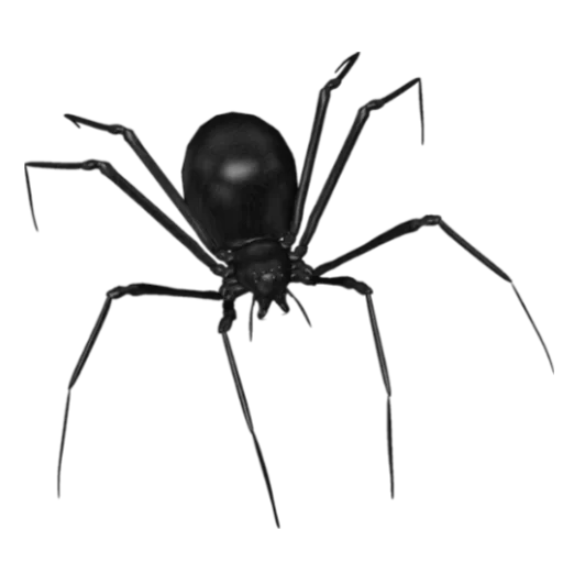 🕷 Стикер «паника» для Telegram