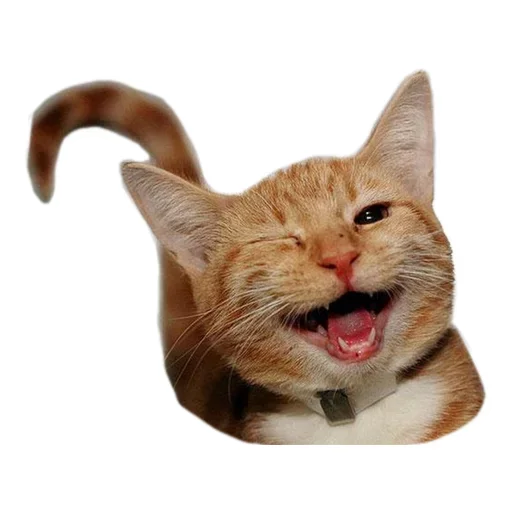 😫 Стикер «Pets» для Telegram