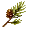 🌲 Эмодзи «Тëплое Новогоднее» для Telegram