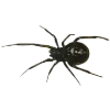 🕷 Эмодзи «terror aesth» для Telegram