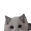 😘 Эмодзи «cats add #cat #коты» для Telegram