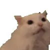 🤪 Эмодзи «cats add #cat #коты» для Telegram