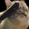 🫡 Эмодзи «cats add #cat #коты» для Telegram