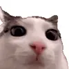 Эмодзи cats add #cat #коты для Telegram — скачать
