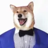 😛 Эмодзи «dogs add #dog #собаки» для Telegram