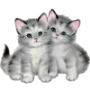 👯‍♀️ Эмодзи «for girls add #girls #длядевочек» для Telegram
