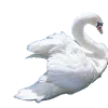 🦢 Эмодзи «for girls add #girls #длядевочек» для Telegram
