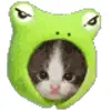 🐱 Эмодзи «memes add #memes #мемы» для Telegram