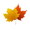 🍁 Эмодзи «read and sublimate» для Telegram