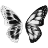 🖤 Эмодзи «Phase black» для Telegram