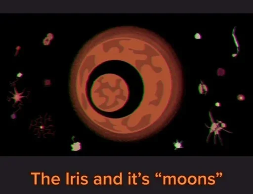 😐 Стикер «The iris» для Telegram