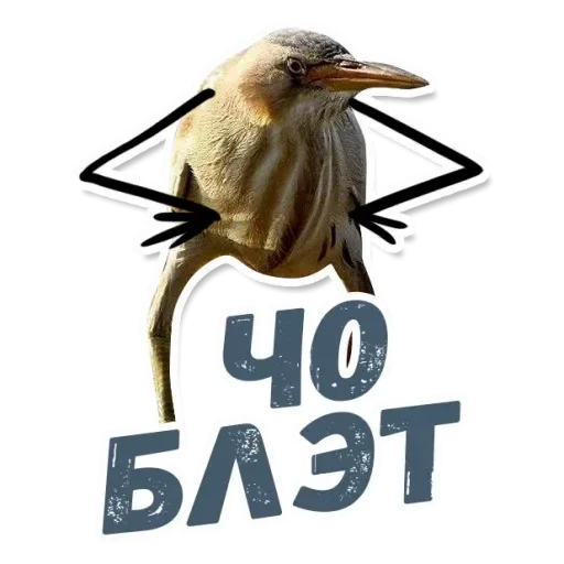 🤬 Стикер «MVP WhatsApp» для Telegram