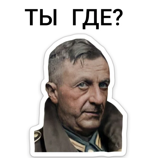 ❔ Стикер «ТНО шиза» для Telegram