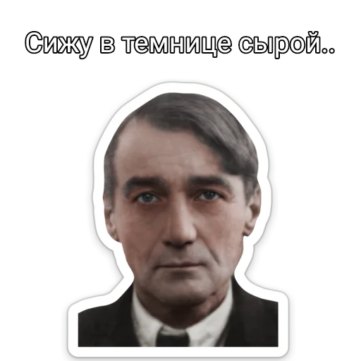 🚔 Стикер «ТНО шиза» для Telegram