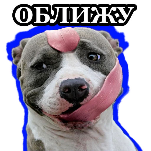😛 Стикер «BultStick» для Telegram