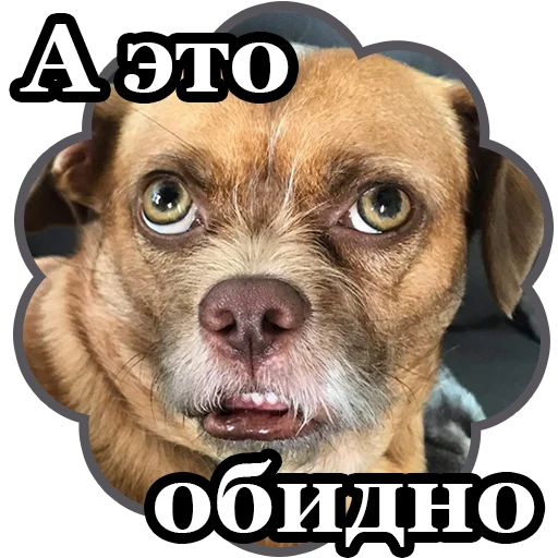 🙄 Стикер «BultStick» для Telegram