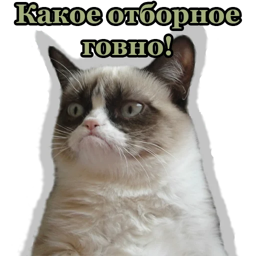 😠 Стикер «BultStick» для Telegram