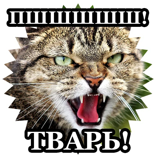 😤 Стикер «BultStick» для Telegram