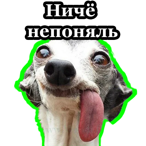 😵‍💫 Стикер «BultStick» для Telegram