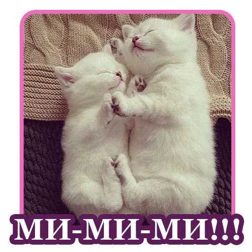 🥰 Стикер «BultStick» для Telegram