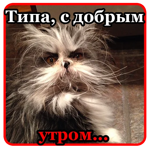 🥱 Стикер «BultStick» для Telegram