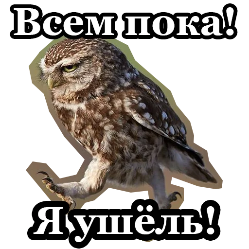 👋 Стикер «BultStick» для Telegram