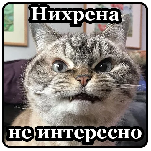 🤢 Стикер «BultStick» для Telegram