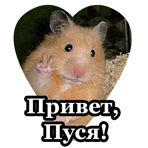 👋 Стикер «BultStick» для Telegram
